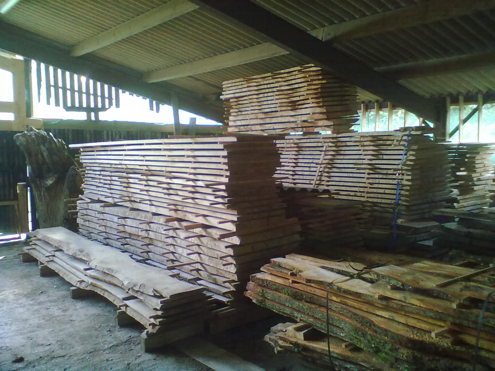 Kiln drying White Wood Management